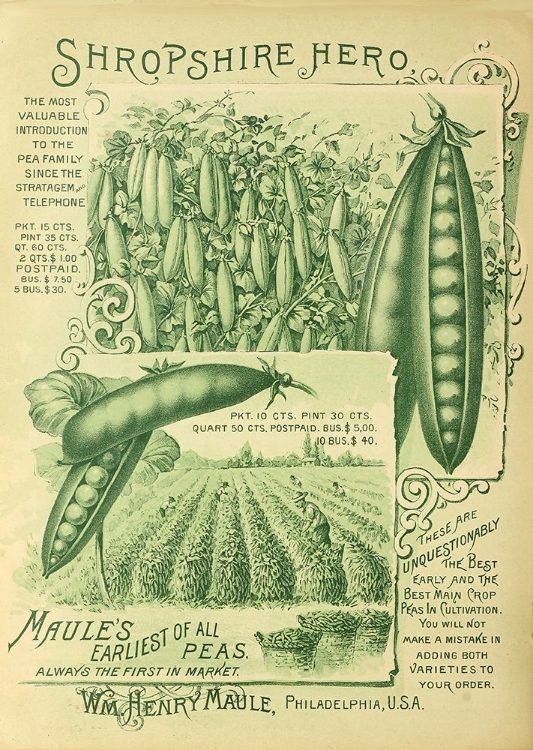 Picture of SHROPSHIRE PEAS