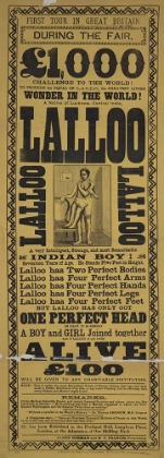 Picture of LALLOO