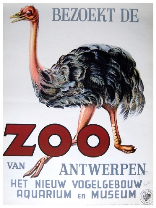 Picture of ANTWERP ZOO