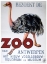 Picture of ANTWERP ZOO