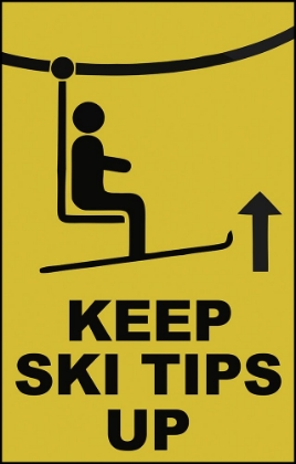 Picture of SKI TIPS