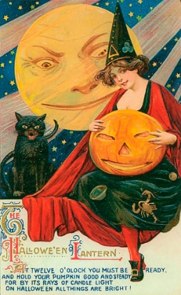 Picture of HALLOW WITCH PUMPKIN CAT.TIF