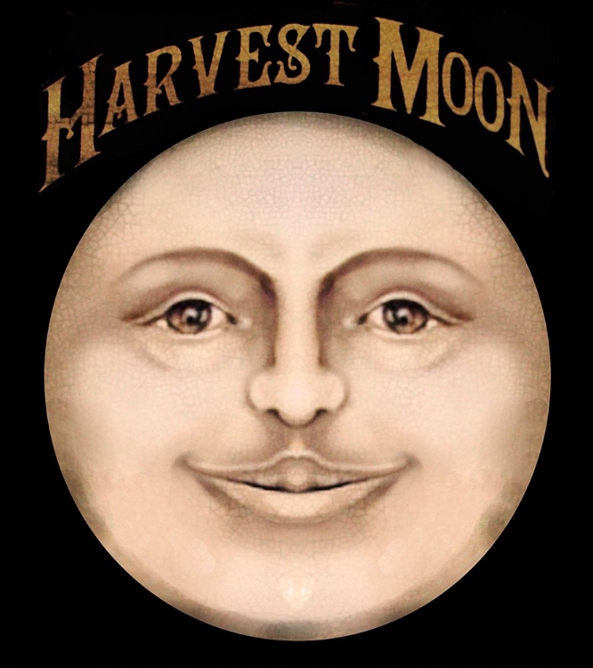 Picture of THE HARVEST MOON.TIF