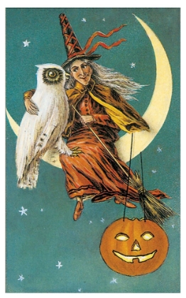 Picture of WITCH OWL.TIF
