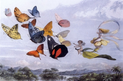 Picture of FAIRY BUTTERFLIES 1