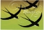 Picture of BIRDS GREEN