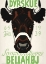 Picture of DYRSKUE DANISH COW