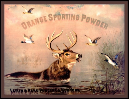 Picture of ORANGE SPORTING