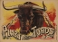 Picture of PLAZA-DE-TOROS-1893