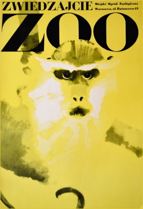 Picture of MONKEY-ZOO