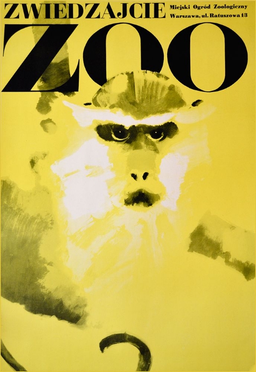 Picture of MONKEY-ZOO