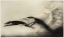 Picture of ART_DECO_WOMAN_GREYHOUNDS