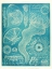 Picture of JELLYFISH SEALIFE