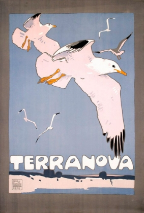 Picture of TERRANOVA