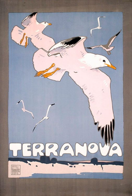 Picture of TERRANOVA