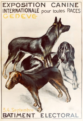 Picture of EXPOSITION CANINE GENEVA