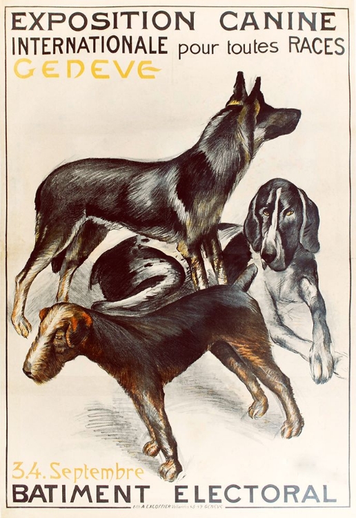 Picture of EXPOSITION CANINE GENEVA