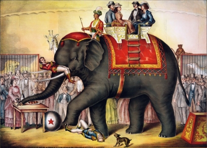 Picture of PERFORMING ELEPHANT-1874