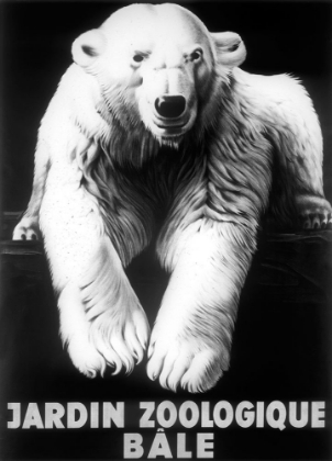 Picture of BALE POLAR BEAR