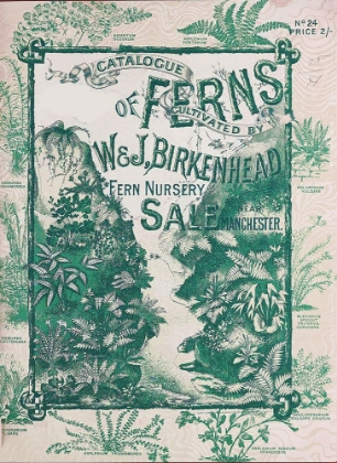 Picture of FERNS 1