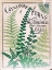 Picture of FERNS 2
