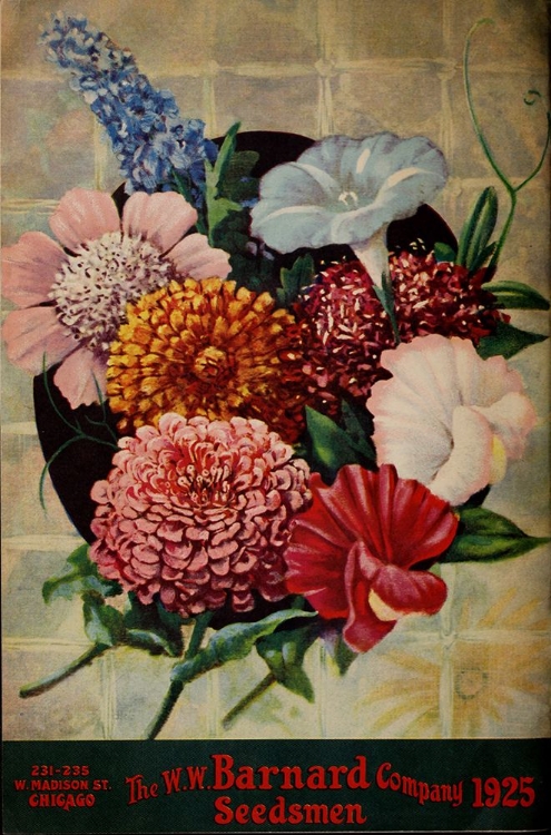 Picture of BARNARDSSEEDSBUL1925_BOUQUET