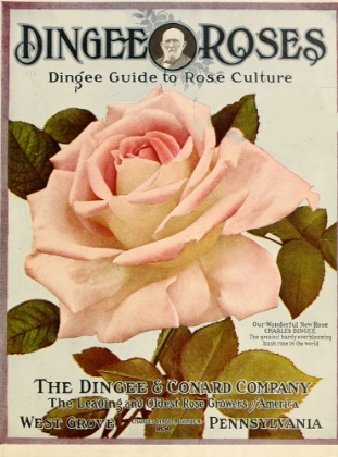Picture of DINGEEGUIDE