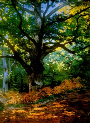 Picture of BODMER OAK FOUNTAINBLEAU FOREST