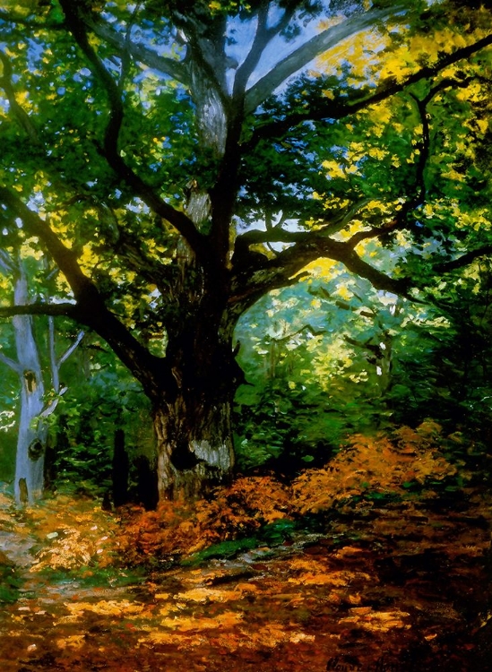 Picture of BODMER OAK FOUNTAINBLEAU FOREST