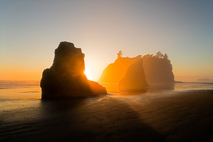 Picture of THE GOLDEN BEACH