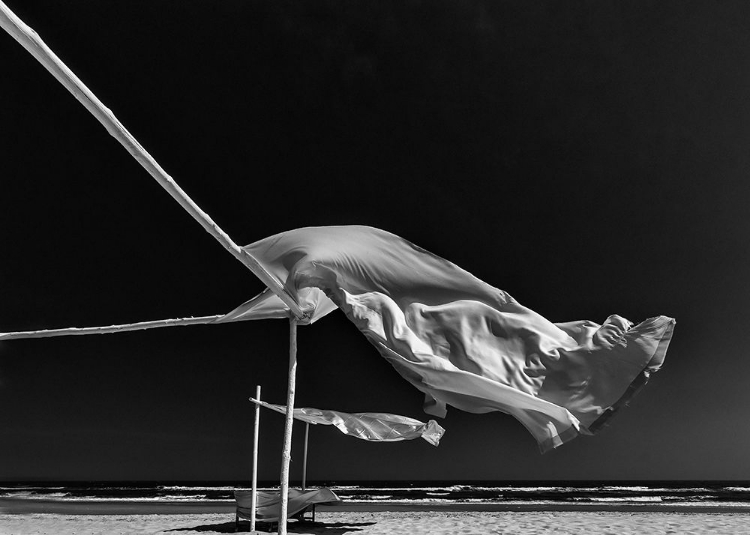 Picture of GHOSTS ON THE BEACH.