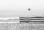 Picture of UNTITLED