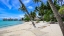 Picture of PARADISE HAMMOCK