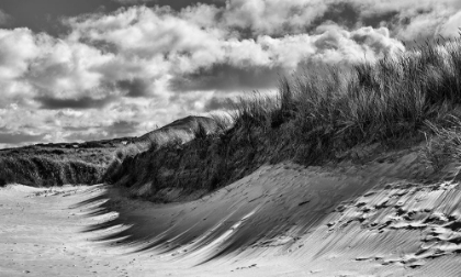 Picture of DUNES IN DONEGAL