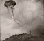 Picture of TETHERED