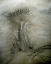 Picture of FLOW PATTERN