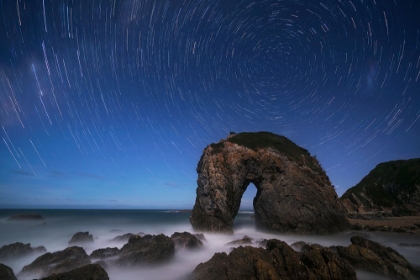 Picture of HORSE HEAD ROCK