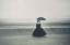 Picture of SHORE...