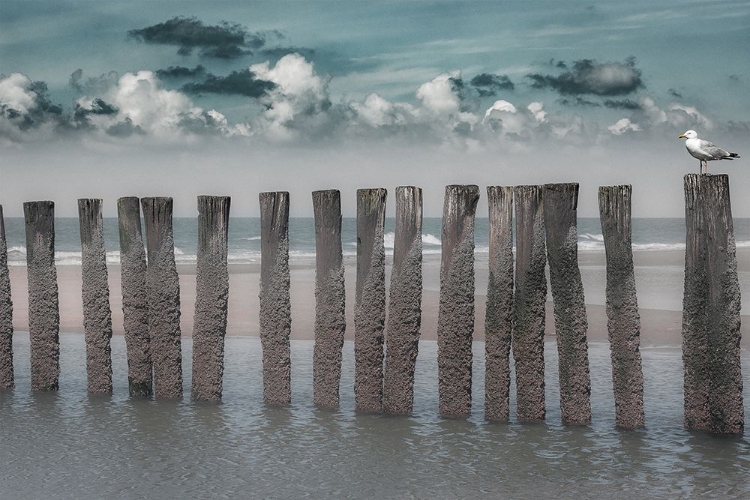 Picture of BEACH BARS