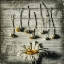 Picture of SURVIVAL