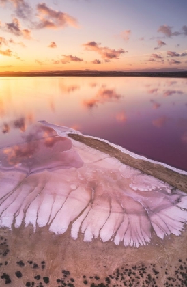 Picture of PINK LAKE