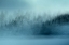 Picture of WINTERSAGA