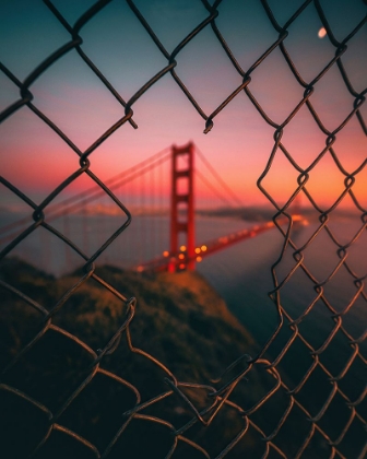 Picture of GOLDEN GATE CAGED