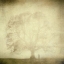 Picture of UNTITLED