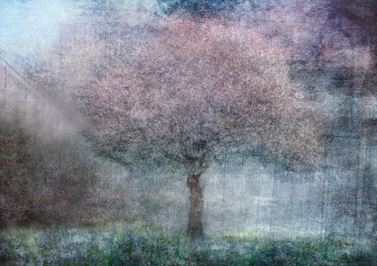 Picture of MAGIC OF SPRING
