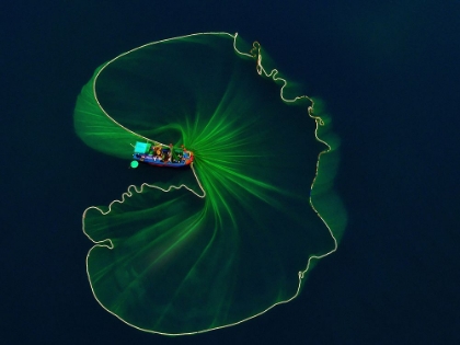 Picture of LOTUS LEAF ON THE SEA