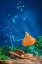 Picture of UNDERWATER TEATIME