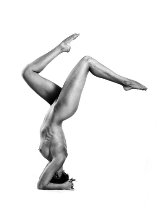 Picture of ACROBATIC NUDE 4