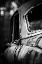 Picture of SCRAP CAR