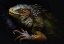 Picture of TIME OF MOLTING